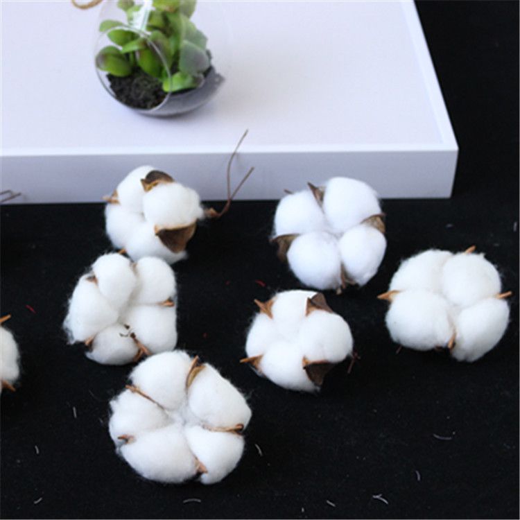 Factory wholesale of artificial single-head kapok flower heads, natural dried flower branches, cotton wreaths, Christmas products, and everlasting flowers Specification image