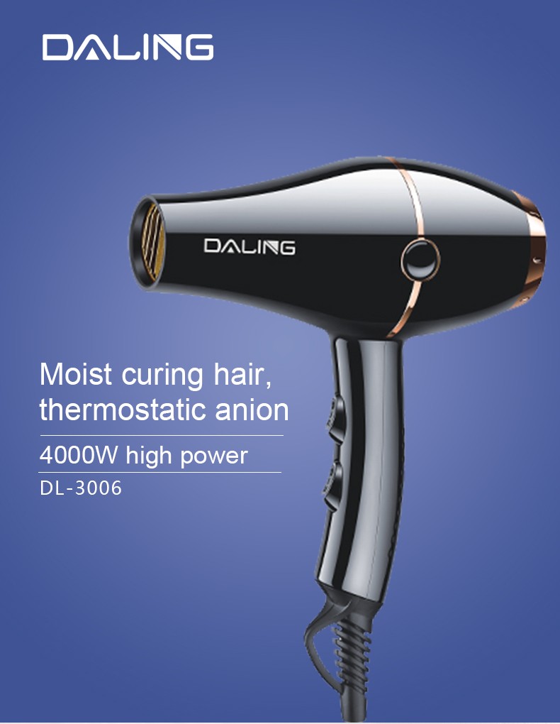 Daling DL-3006 hair dryer, high-power hair dryer, household cold and hot air hair dryer, wholesale cross-border detail image 1