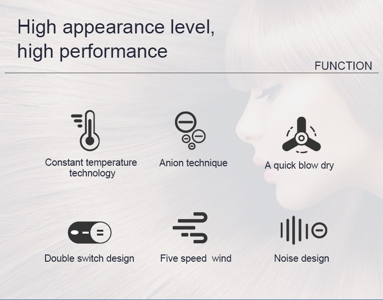 Daling DL-3006 hair dryer, high-power hair dryer, household cold and hot air hair dryer, wholesale cross-border detail image 2