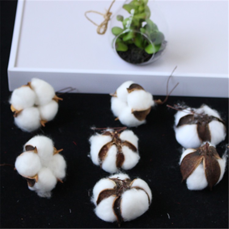 Factory wholesale of artificial single-head kapok flower heads, natural dried flower branches, cotton wreaths, Christmas products, and everlasting flowers detail image 5