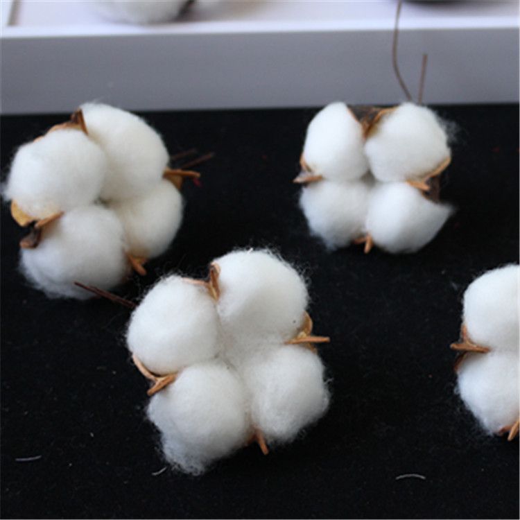 Factory wholesale of artificial single-head kapok flower heads, natural dried flower branches, cotton wreaths, Christmas products, and everlasting flowers