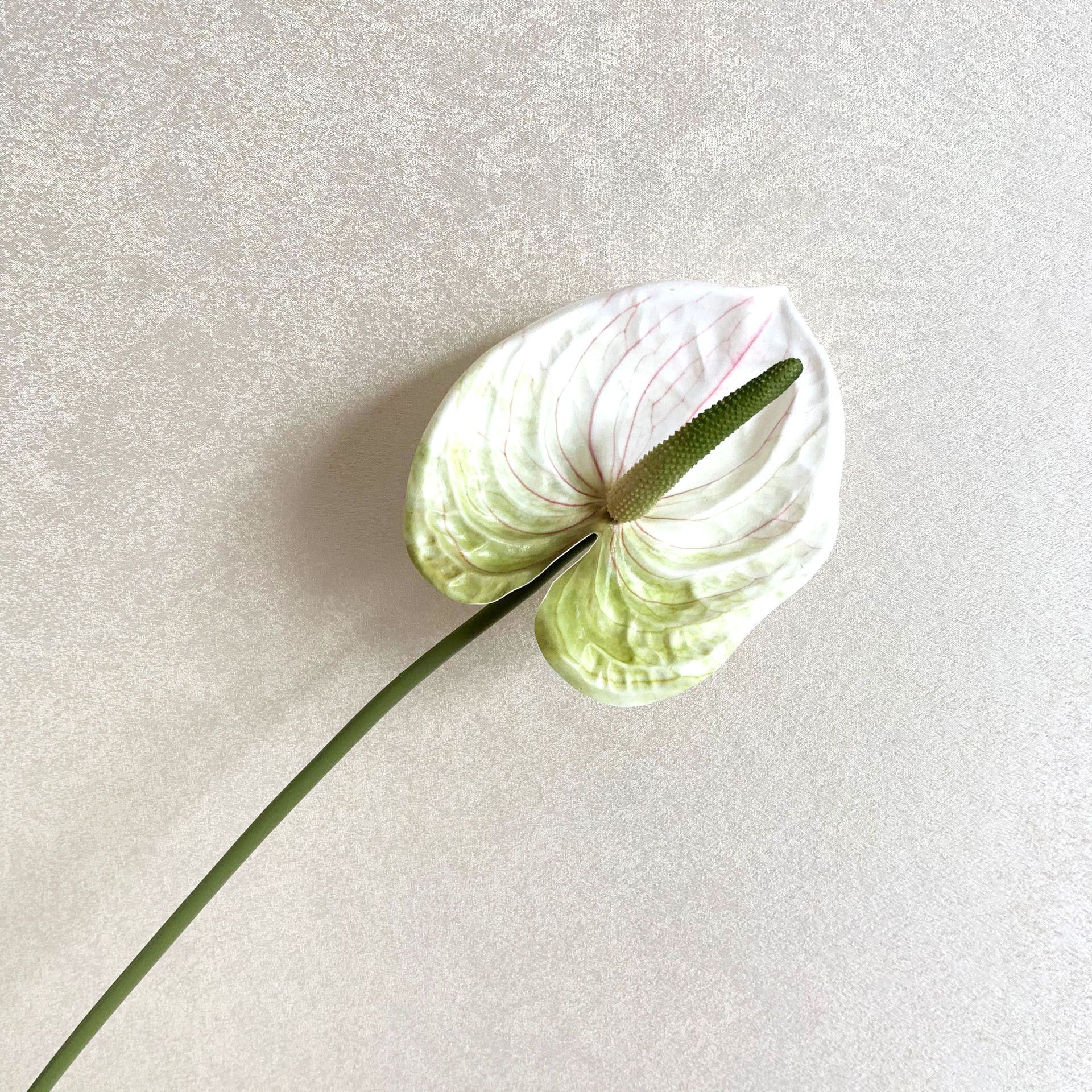 3D printed simulation flower, anthurium adhesive tape, single anthurium flower, home green plant potted plant decoration, flower arrangement material accessories