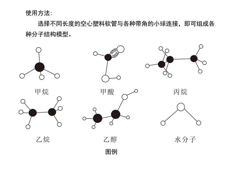 初中化学有机分子结构模型 学生用dna球棍比例模型实验器材套装详情图3