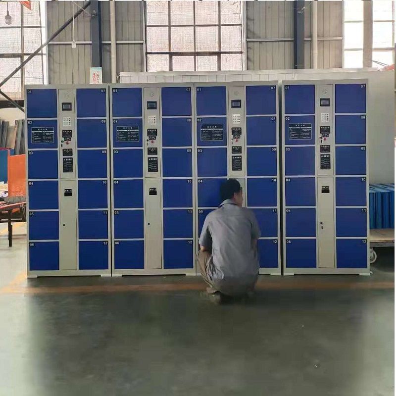English export 12-door barcode locker, fingerprint locker, IC card locker, parcel locker and file locker Item Picture