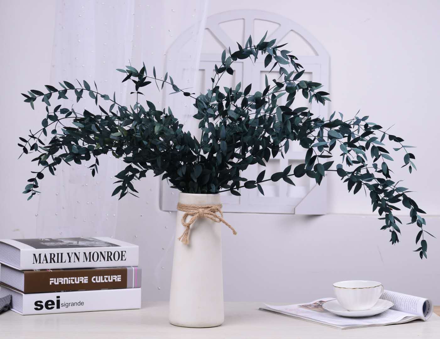 【 Everlasting Fine-leaf Eucalyptus Leaves 】120g eucalyptus, Nordic ins preserved flower, everlasting flower material, Yunnan dried flower detail image 3