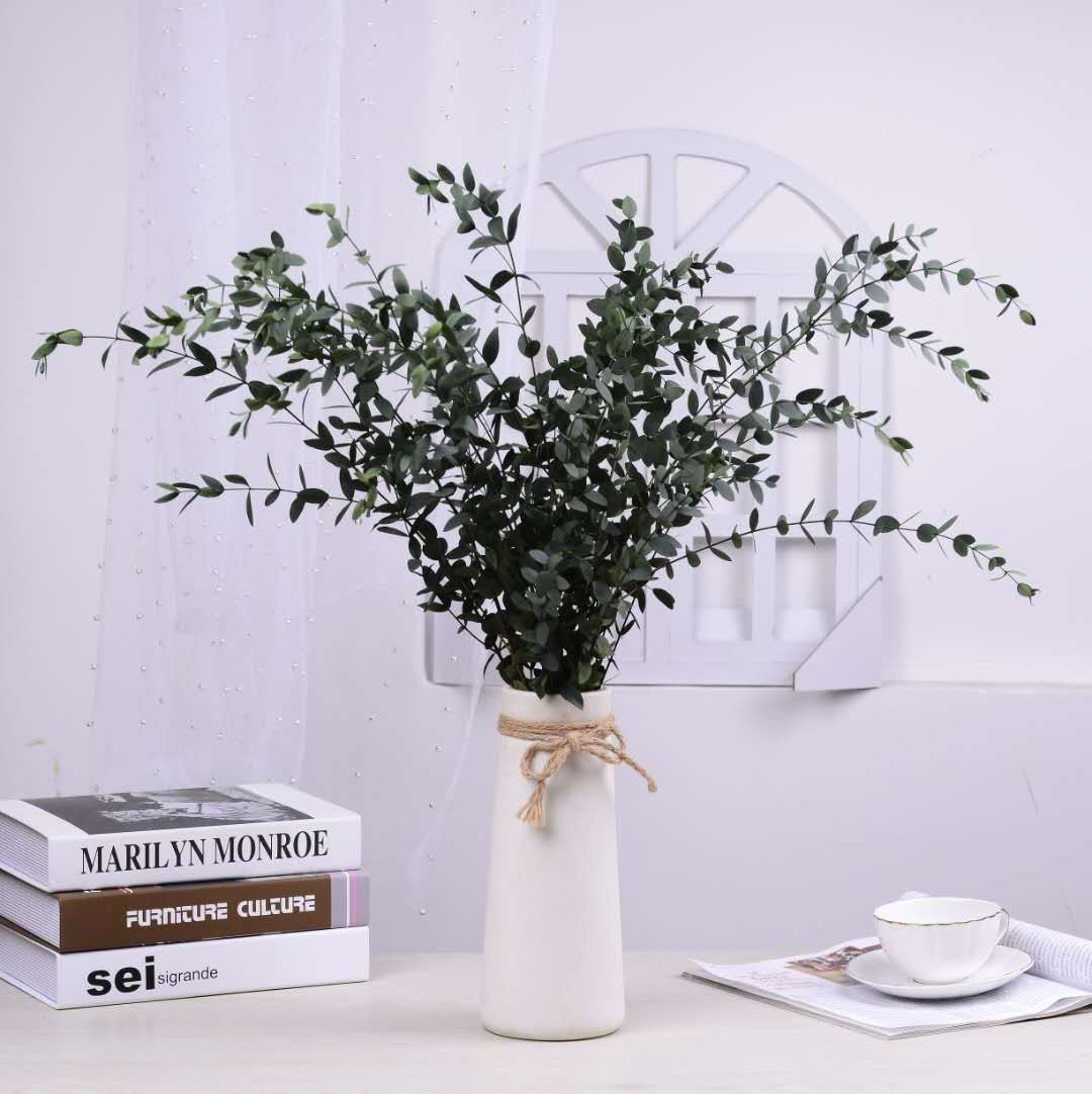 【 Everlasting Fine-leaf Eucalyptus Leaves 】120g eucalyptus, Nordic ins preserved flower, everlasting flower material, Yunnan dried flower detail image 1