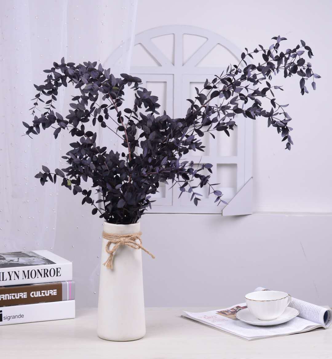 【 Everlasting Fine-leaf Eucalyptus Leaves 】120g eucalyptus, Nordic ins preserved flower, everlasting flower material, Yunnan dried flower detail image 5