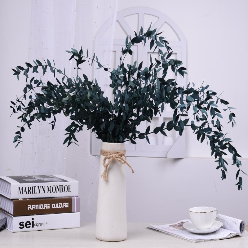 【 Everlasting Fine-leaf Eucalyptus Leaves 】120g eucalyptus, Nordic ins preserved flower, everlasting flower material, Yunnan dried flower detail image 8