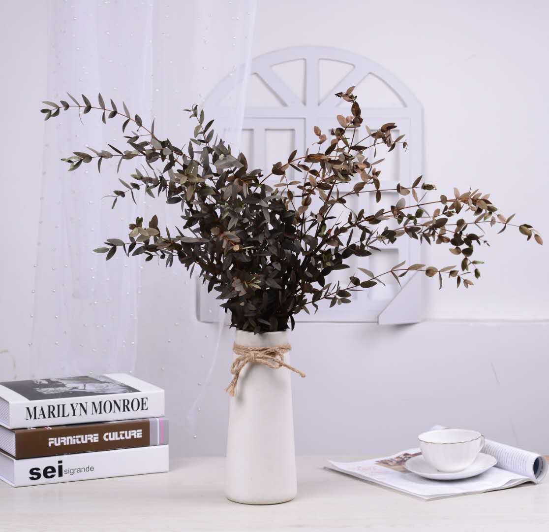 【 Everlasting Fine-leaf Eucalyptus Leaves 】120g eucalyptus, Nordic ins preserved flower, everlasting flower material, Yunnan dried flower detail image 2