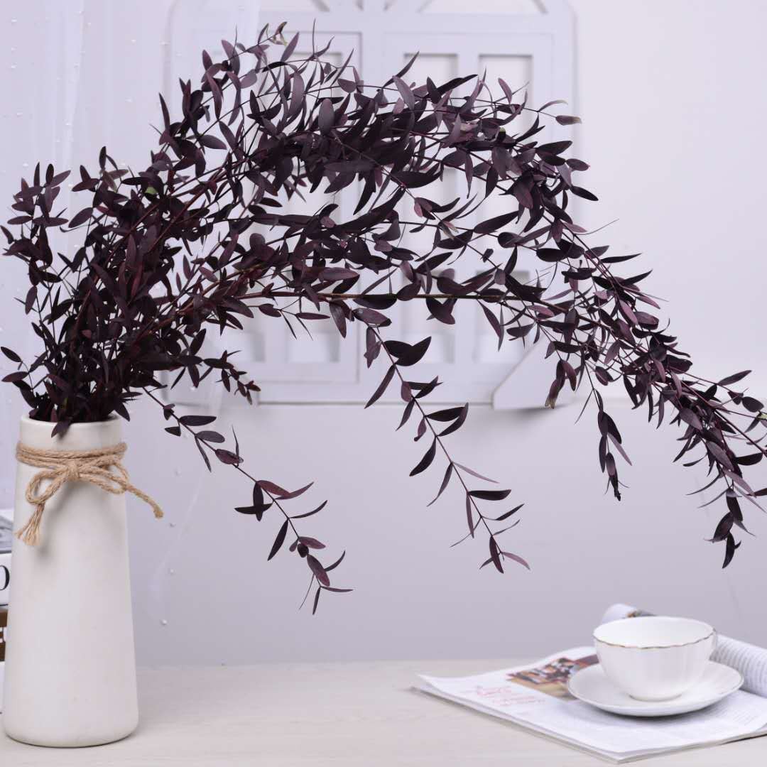 【 Everlasting Fine-leaf Eucalyptus Leaves 】120g eucalyptus, Nordic ins preserved flower, everlasting flower material, Yunnan dried flower detail image 4