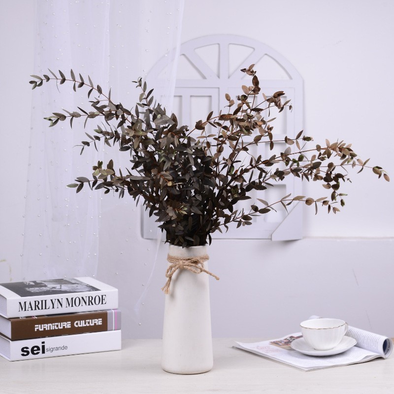 【 Everlasting Fine-leaf Eucalyptus Leaves 】120g eucalyptus, Nordic ins preserved flower, everlasting flower material, Yunnan dried flower detail image 7