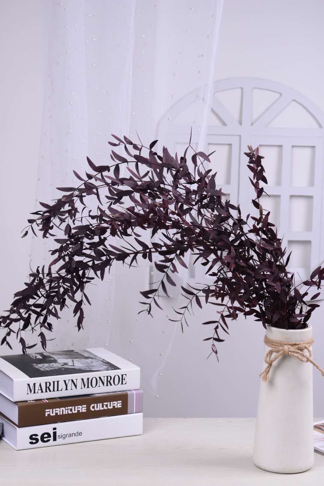 【 Everlasting Fine-leaf Eucalyptus Leaves 】120g eucalyptus, Nordic ins preserved flower, everlasting flower material, Yunnan dried flower detail image 10