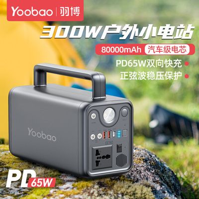 便携式户外电源储能电源220V输出正弦波电流300W户外移动电源