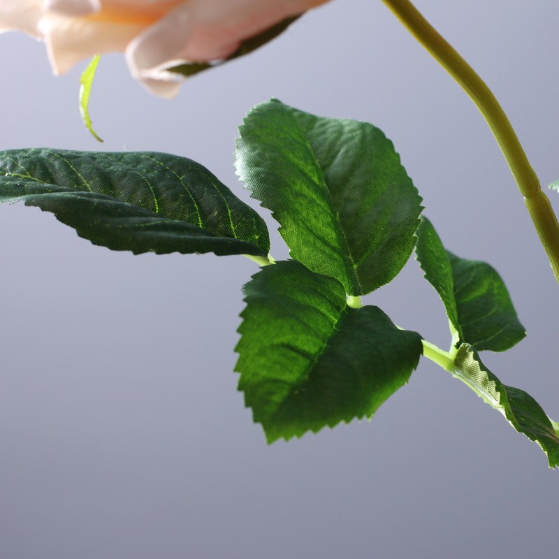 单枝手感保湿奥斯汀玫瑰花牡丹花客厅茶几摆设仿真花束 保湿玫瑰详情图5