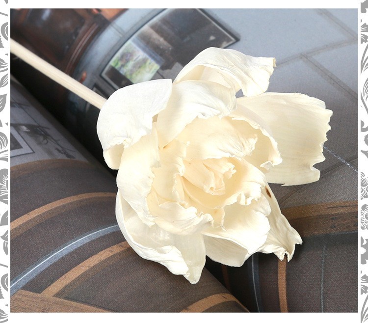 无火香薰通草花 香薰吸油花 香氛干花 仿真花牡丹花 家居装饰植物详情图8