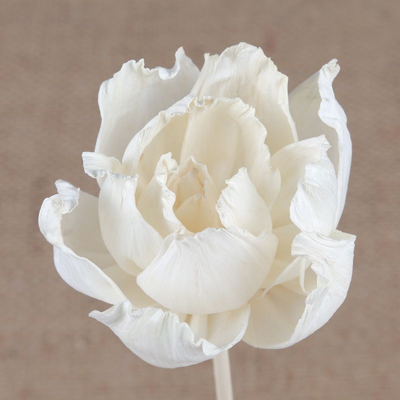 无火香薰通草花 香薰吸油花 香氛干花 仿真花牡丹花 家居装饰植物