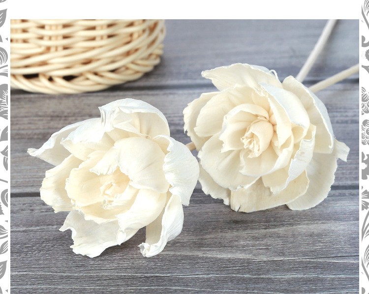 无火香薰通草花 香薰吸油花 香氛干花 仿真花牡丹花 家居装饰植物详情图4