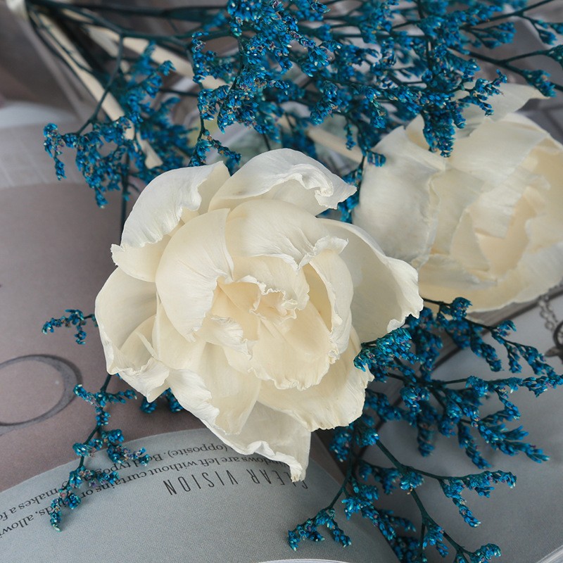 无火香薰通草花 香薰吸油花 香氛干花 仿真花牡丹花 家居装饰植物详情图16