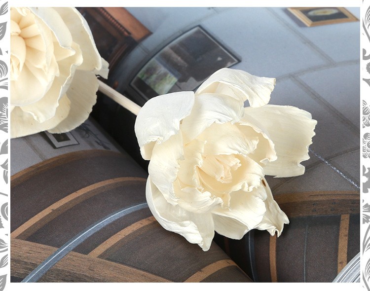 无火香薰通草花 香薰吸油花 香氛干花 仿真花牡丹花 家居装饰植物详情图7