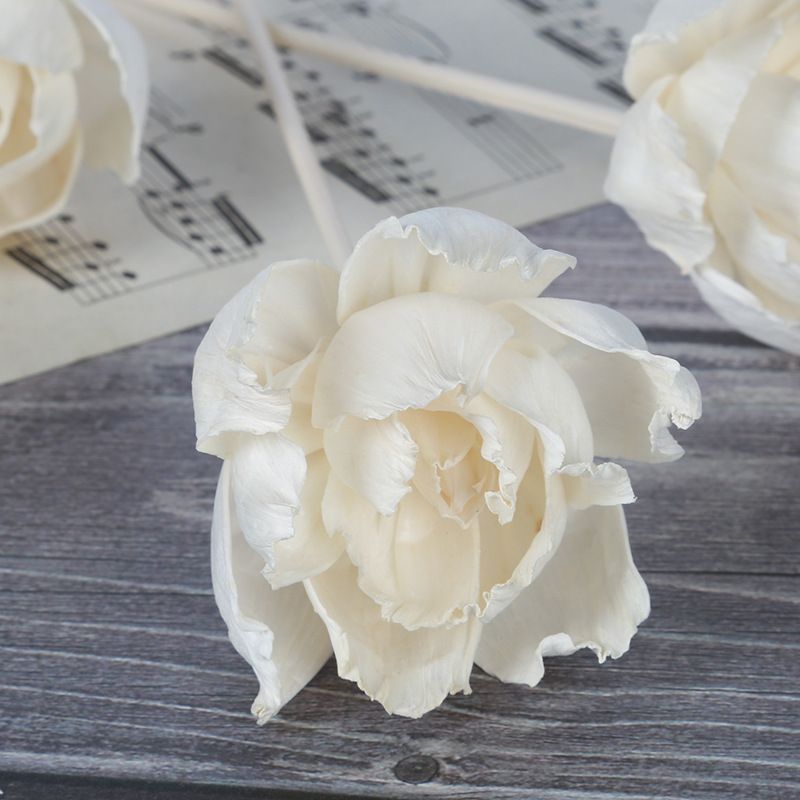 无火香薰通草花 香薰吸油花 香氛干花 仿真花牡丹花 家居装饰植物详情图3