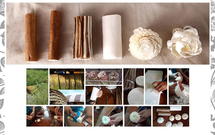 无火香薰通草花 香薰吸油花 香氛干花 仿真花牡丹花 家居装饰植物详情图1