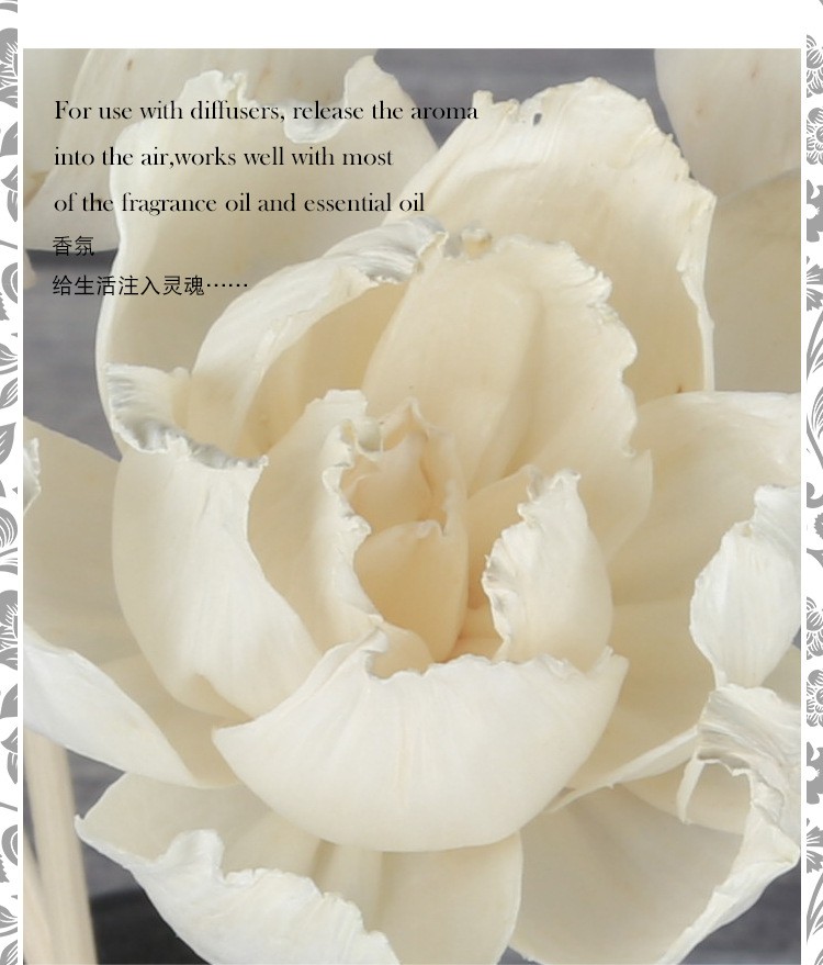 无火香薰通草花 香薰吸油花 香氛干花 仿真花牡丹花 家居装饰植物详情图2