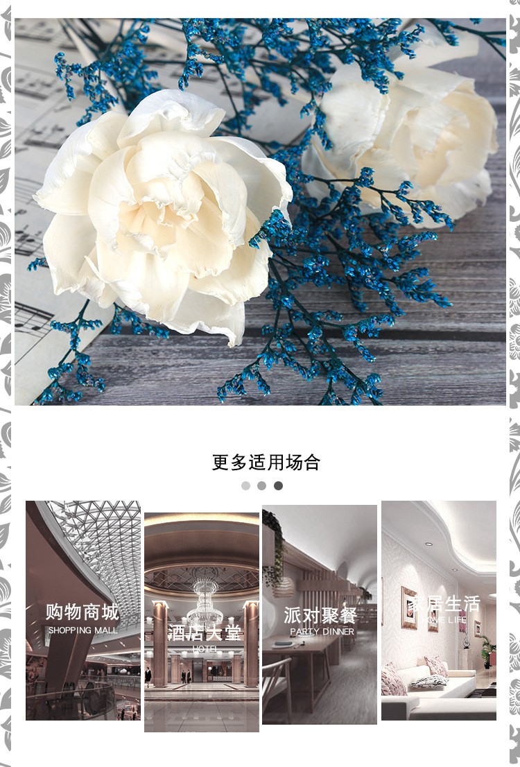 无火香薰通草花 香薰吸油花 香氛干花 仿真花牡丹花 家居装饰植物详情图12