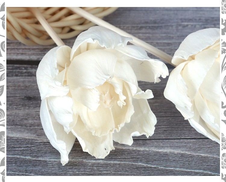 无火香薰通草花 香薰吸油花 香氛干花 仿真花牡丹花 家居装饰植物详情图5