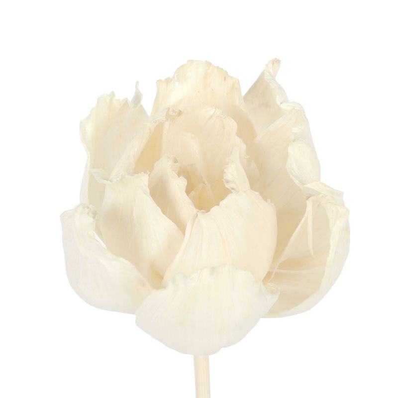 无火香薰通草花 香薰吸油花 香氛干花 仿真花牡丹花 家居装饰植物详情图5