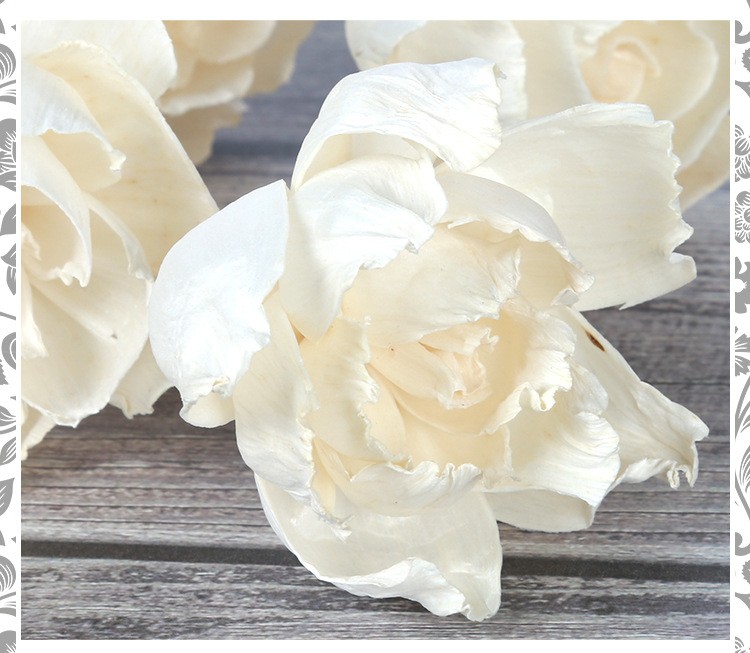 无火香薰通草花 香薰吸油花 香氛干花 仿真花牡丹花 家居装饰植物详情图10