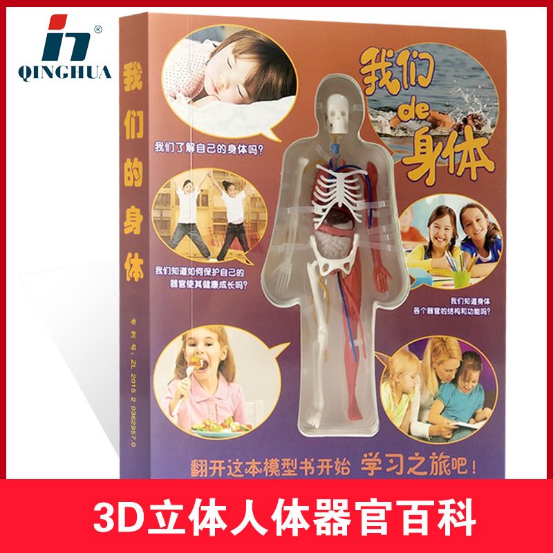 探索人体百科骨骼结构书图全身模型骨架仿真器官内脏我们的身体