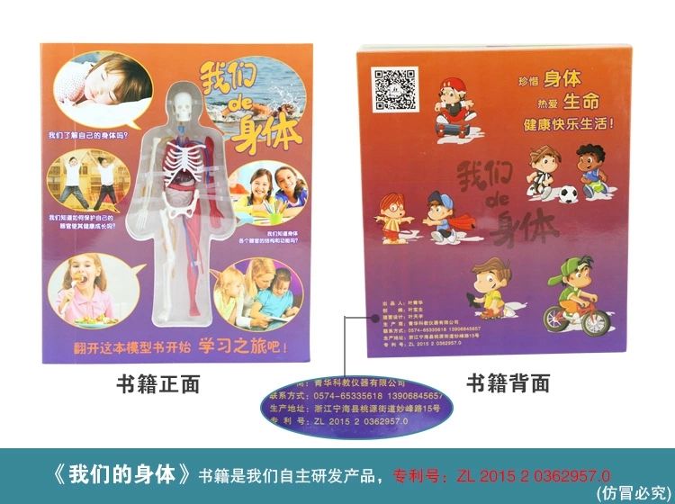 探索人体百科骨骼结构书图全身模型骨架仿真器官内脏我们的身体详情18