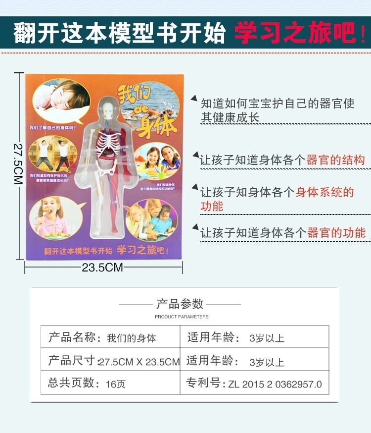 探索人体百科骨骼结构书图全身模型骨架仿真器官内脏我们的身体详情4