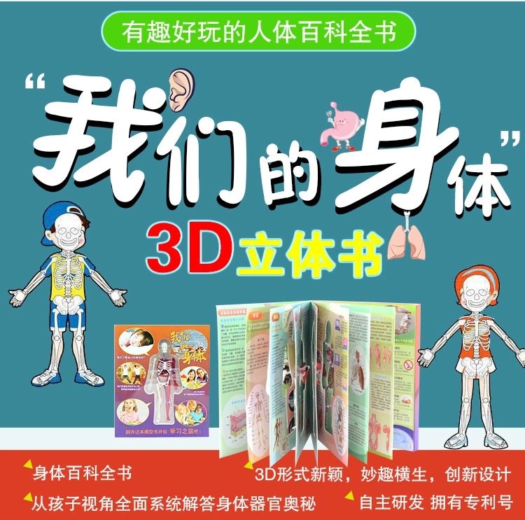 探索人体百科骨骼结构书图全身模型骨架仿真器官内脏我们的身体详情2