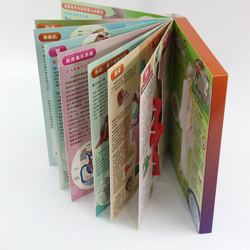 教学演示用品实物图