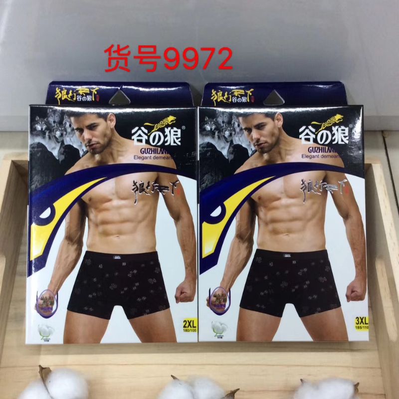 Men's Underwear 9972