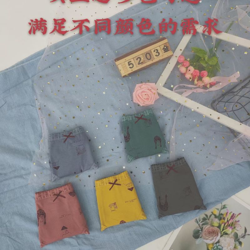 Women's Panties 5203 Specification drawing