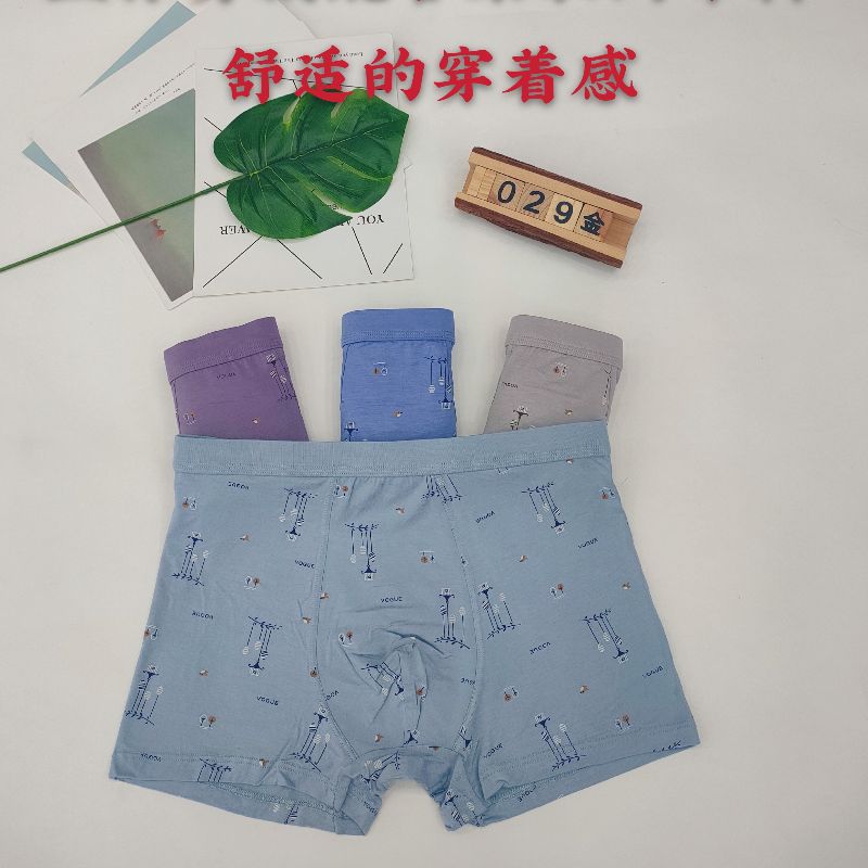 Men's Single Pair 3D Underwear 029 Specification drawing