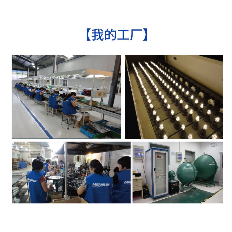 40W Candle Bulb E14 Screw Special Purpose Bulb Plant Growth Lamp Professional Export South America Africa Middle East And So On Application Scenario