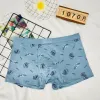 Men's underwear 1070 Specification image