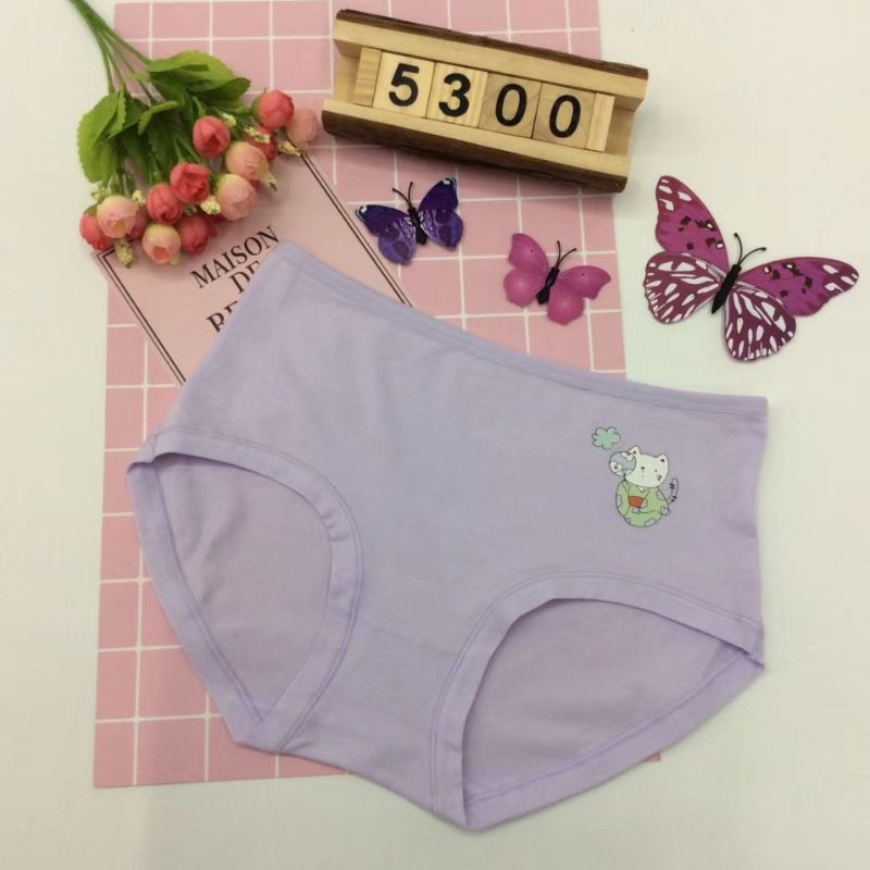 Women's underwear 5300 Specification image