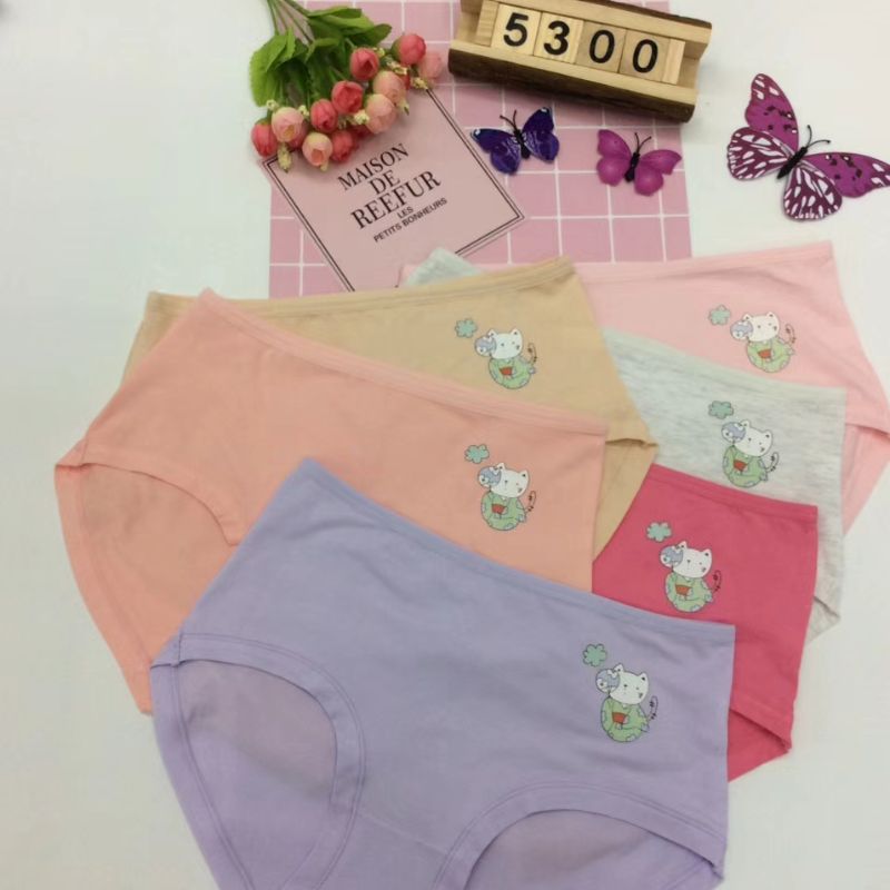 Women's underwear 5300 details Picture