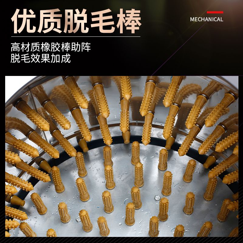 Stainless steel three-bird hair removal machine for poultry, chickens, ducks and geese, stainless steel automatic hair removal machine details Picture