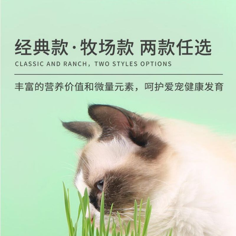 懒人猫草罐头吐毛球化毛促进消化栽培猫薄荷宠物猫零食批发代详情9