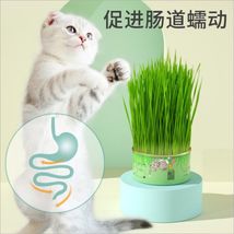懒人猫草罐头吐毛球化毛促进消化栽培宠物猫零食批发代