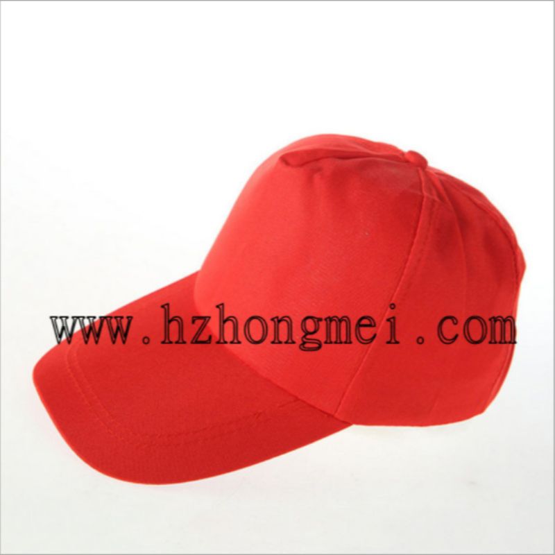 工作帽/职业帽实物图