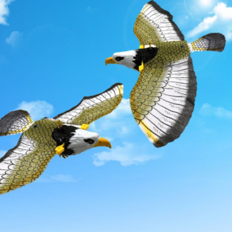 仿真提线鹦鹉鸟能飞会叫的飞鸟老鹰发光发声电动掉线飞鹰动物玩具详情图2