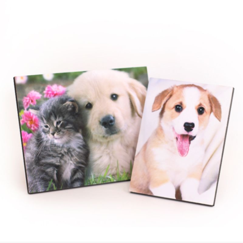 木板画白底实物图