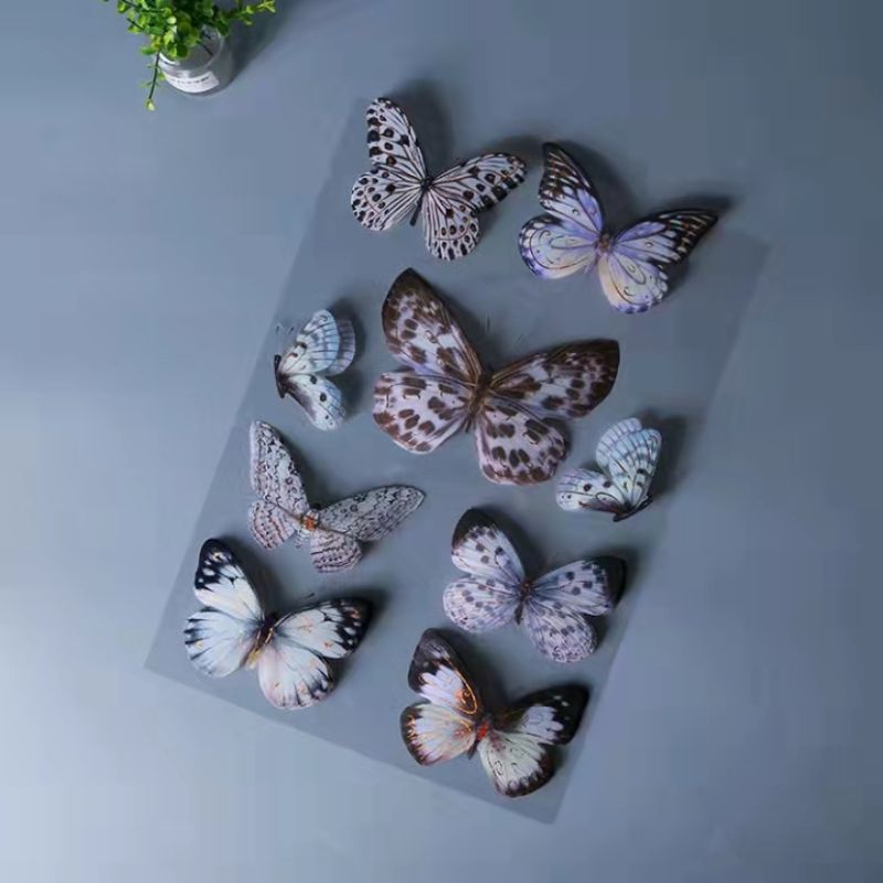 墙纸/平屋頂天花板/墙纸贴膜/壁纸墙纸/室内墙纸白底实物图