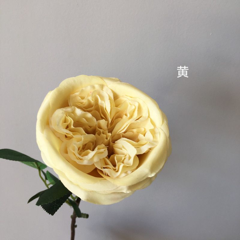 Single-headed Austin rose, a new cold-toned wild silk flower from Nordic home, artificial autumn rose Item Picture